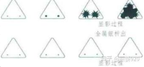 image-20250922001446437